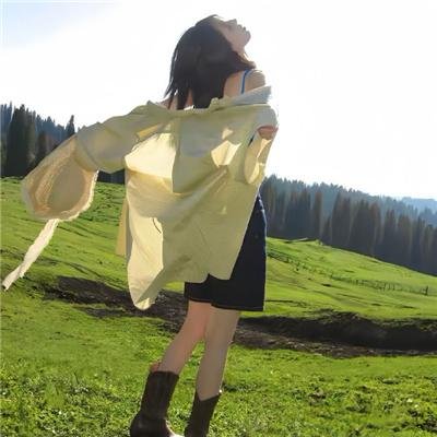 极岛森林第二季